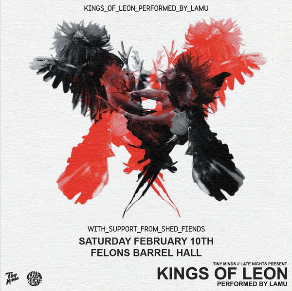 Kings of Leon performed by Pet Rhino