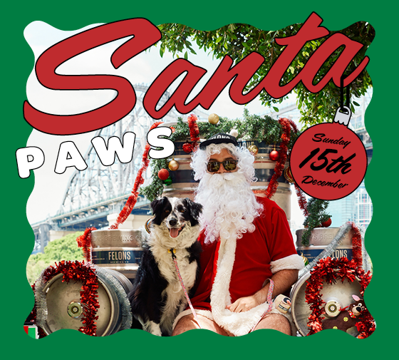 SANTA PAWS