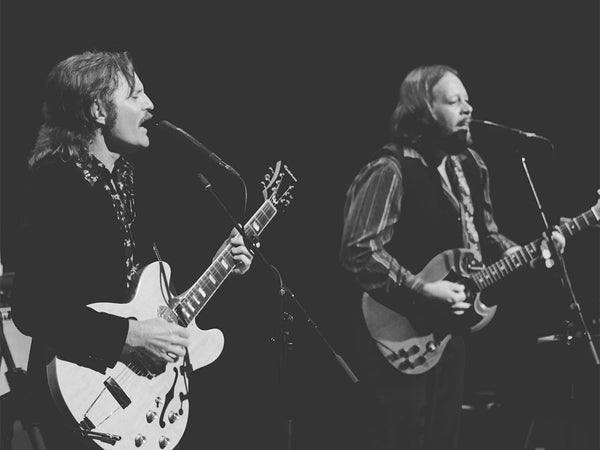 Dangerbirds