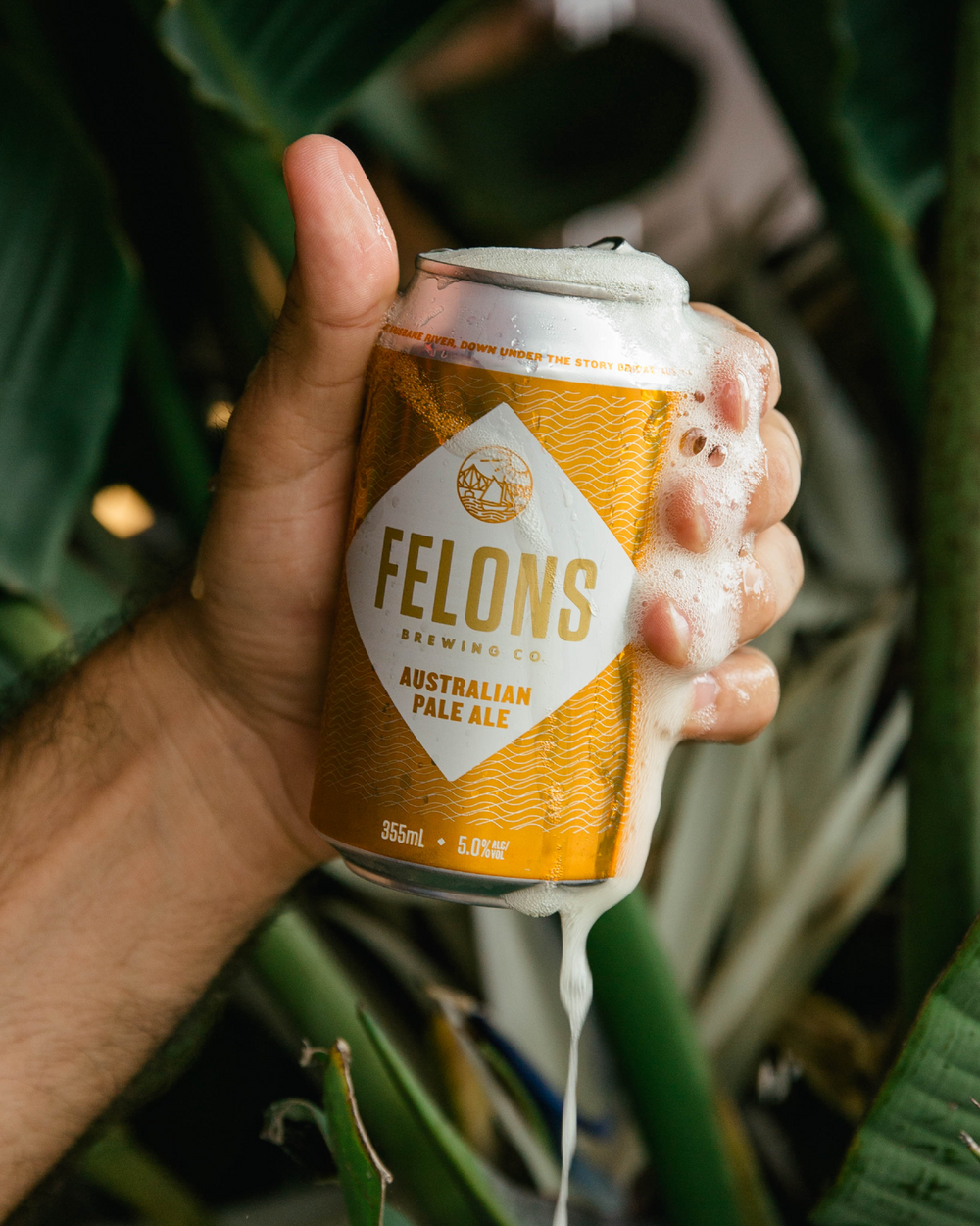 Felons Cheering Newsletter Signup – Felons Brewing Co.