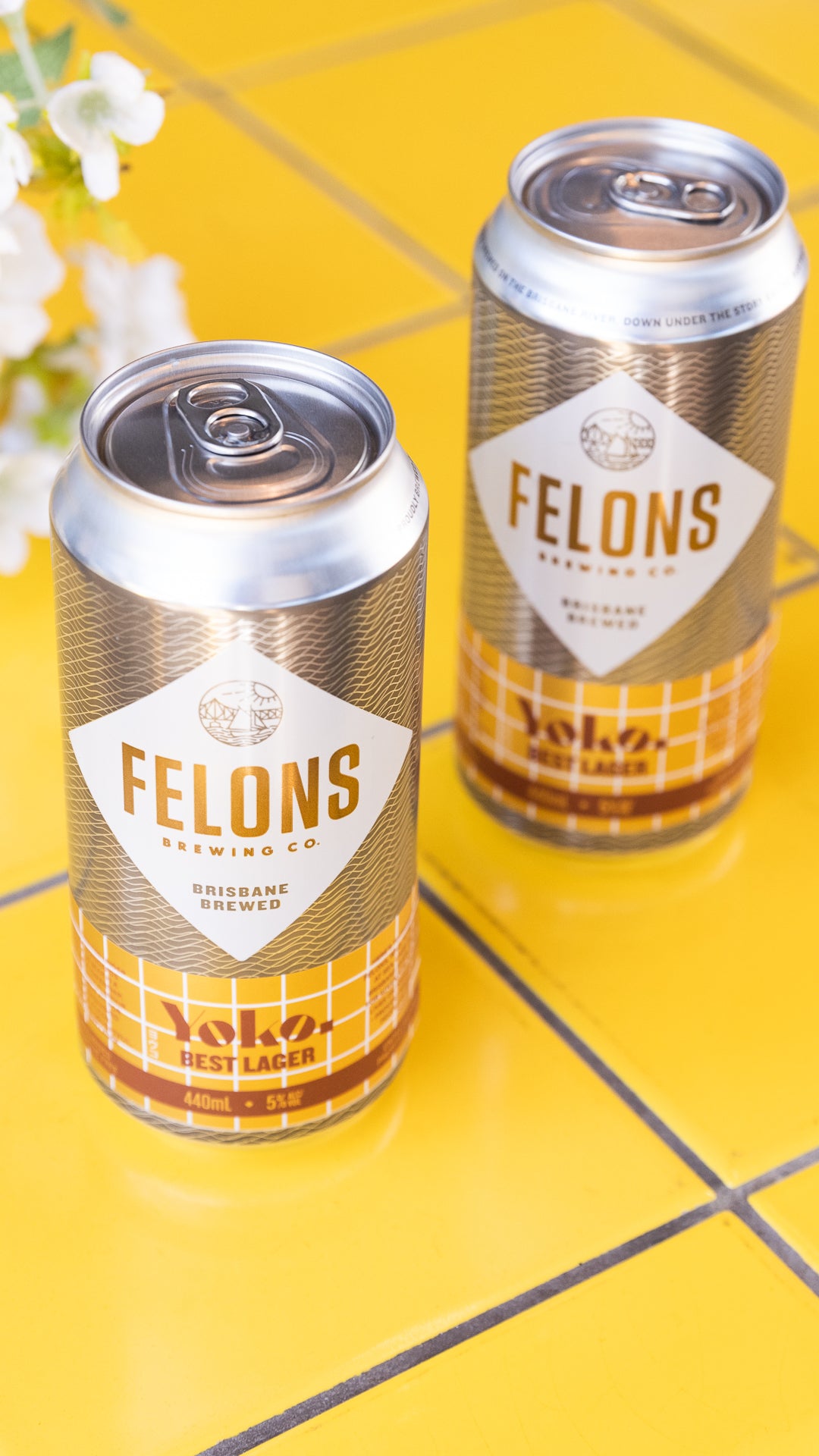 Felons X Yoko Best Lager – Felons Brewing Co.